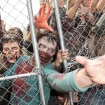 THE WALKING DEAD EXPERIENCE