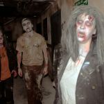 THE WALKING DEAD EXPERIENCE
